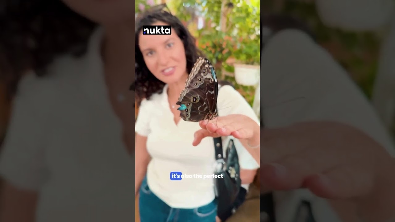 Inside the World’s Largest Indoor Butterfly Garden | Dubai’s Most Magical Spot | Nukta